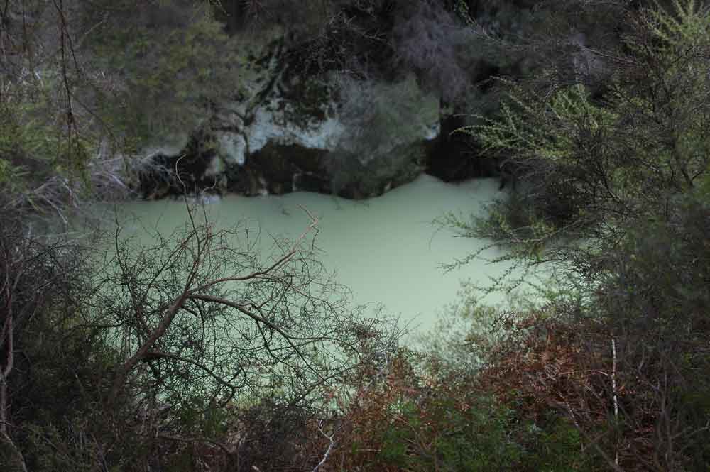 52 - Nueva Zelanda - Rotorua, Wai-o-tapu, la piscina de la ostra